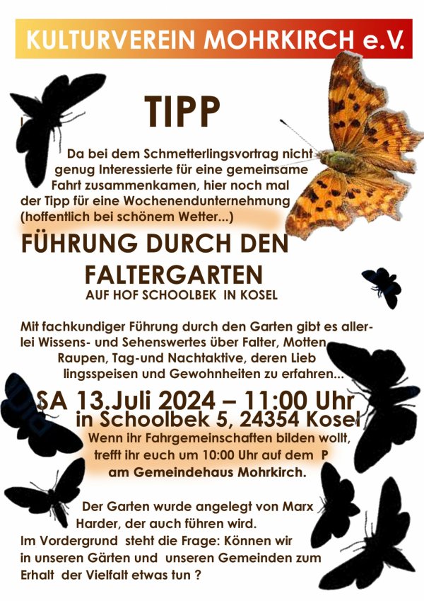 - externe Inhalte zulassen, um Bild anzuzeigen -