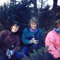 Tannenbaum Aktion der Landjugend